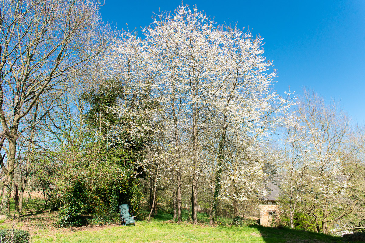 Montcocher_gdn-001.jpg